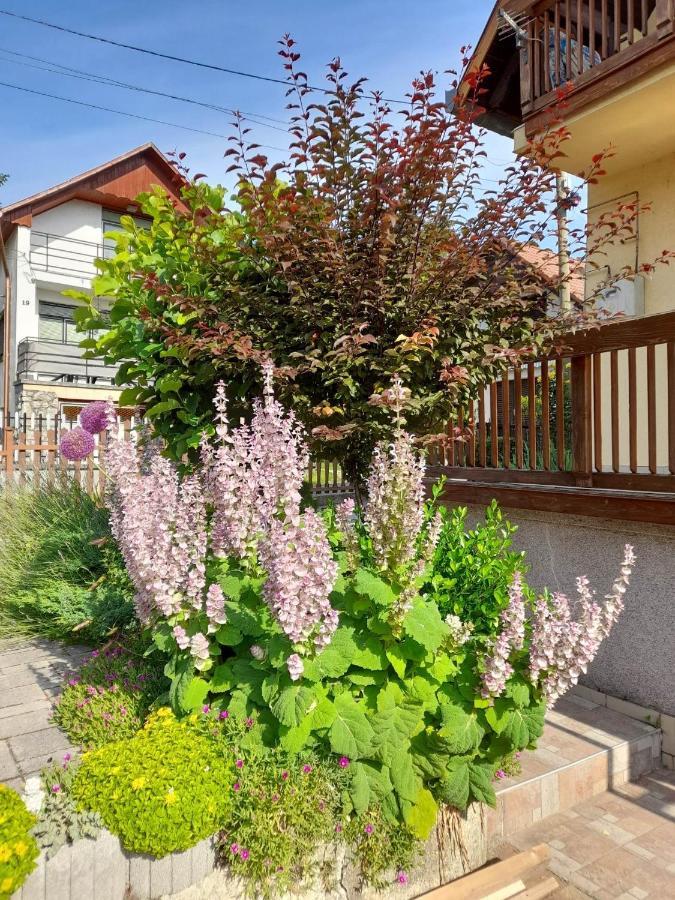 Apartmán Harmonia Vendeghaz 100 Meterre Az Igali Gyogyfuerdotol Exteriér fotografie
