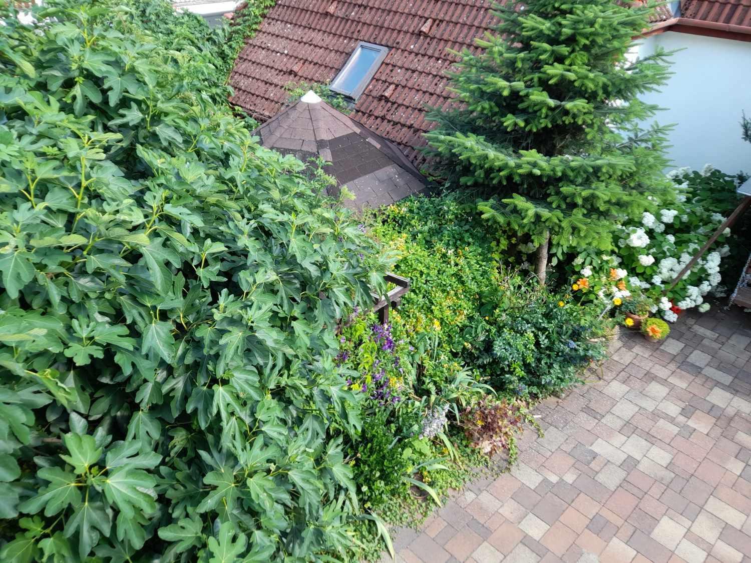 Apartmán Harmonia Vendeghaz 100 Meterre Az Igali Gyogyfuerdotol Exteriér fotografie
